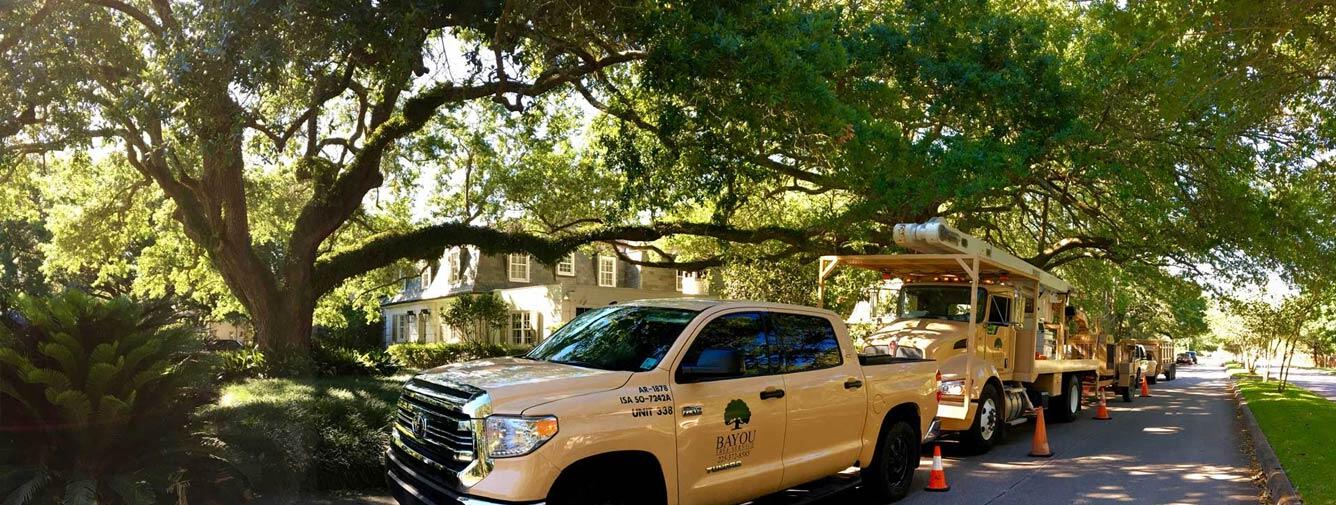 Licensed Louisiana Arborists Serving South Louisiana Since 1980