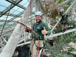 Professional Tree Care experts in Louisiana