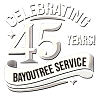 Celebrating 45 years of tree care service